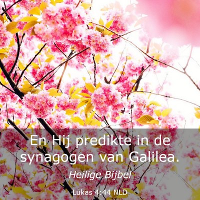 Picture 03 - Lukas 4:44 NLD - En Hij predikte in de synagogen van - Bible Verse Picture