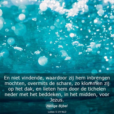 Picture 03 - Lukas 5:19 NLD - En niet vindende, waardoor zij hem inbrengen - Bible Verse Picture