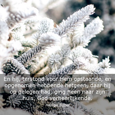 Picture 03 - Lukas 5:25 NLD - En hij, terstond voor Hem opstaande, en opgenomen - Bible Verse Picture