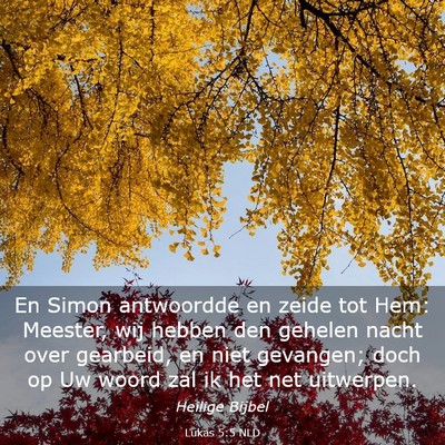 Picture 03 - Lukas 5:5 NLD - En Simon antwoordde en zeide tot Hem: Meester, - Bible Verse Picture