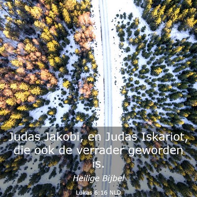 Picture 03 - Lukas 6:16 NLD - Judas Jakobi, en Judas Iskariot, die ook de - Bible Verse Picture