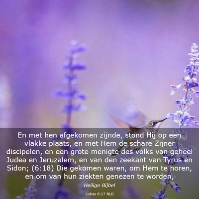 Picture 03 - Lukas 6:17 NLD - En met hen afgekomen zijnde, stond Hij op een - Bible Verse Picture