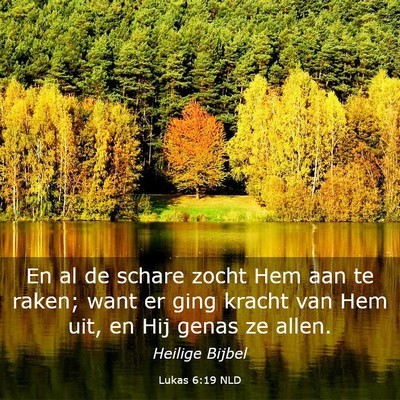 Picture 03 - Lukas 6:19 NLD - En al de schare zocht Hem aan te raken; want er - Bible Verse Picture