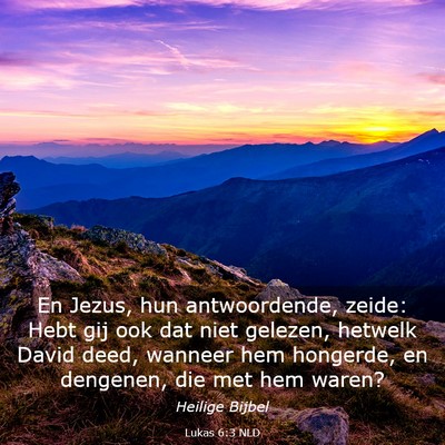 Picture 03 - Lukas 6:3 NLD - En Jezus, hun antwoordende, zeide: Hebt gij ook - Bible Verse Picture