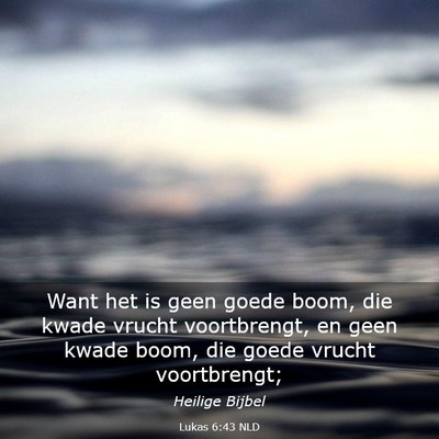 Picture 03 - Lukas 6:43 NLD - Want het is geen goede boom, die kwade vrucht - Bible Verse Picture