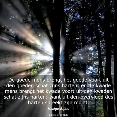Picture 03 - Lukas 6:45 NLD - De goede mens brengt het goede voort uit den - Bible Verse Picture