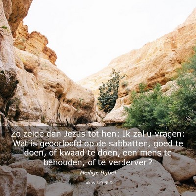 Picture 03 - Lukas 6:9 NLD - Zo zeide dan Jezus tot hen: Ik zal u vragen: Wat - Bible Verse Picture