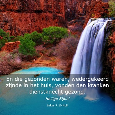 Picture 03 - Lukas 7:10 NLD - En die gezonden waren, wedergekeerd zijnde in het - Bible Verse Picture