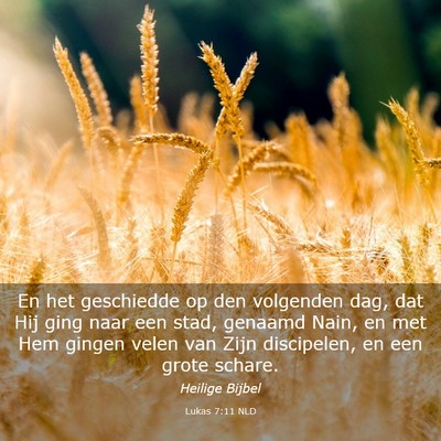 Picture 03 - Lukas 7:11 NLD - En het geschiedde op den volgenden dag, dat Hij - Bible Verse Picture