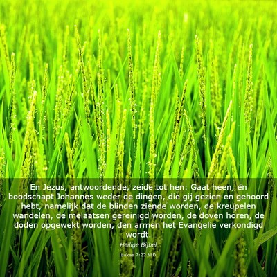 Picture 03 - Lukas 7:22 NLD - En Jezus, antwoordende, zeide tot hen: Gaat heen, - Bible Verse Picture