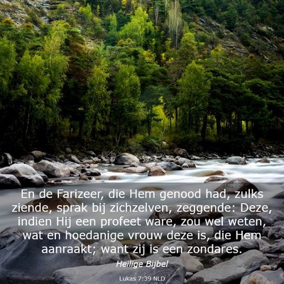 Picture 03 - Lukas 7:39 NLD - En de Farizeer, die Hem genood had, zulks ziende, - Bible Verse Picture
