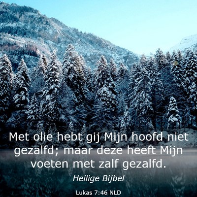 Picture 03 - Lukas 7:46 NLD - Met olie hebt gij Mijn hoofd niet gezalfd; maar - Bible Verse Picture