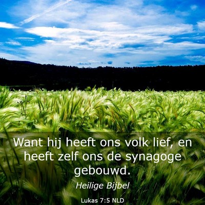 Picture 03 - Lukas 7:5 NLD - Want hij heeft ons volk lief, en heeft zelf ons - Bible Verse Picture