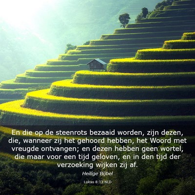Picture 03 - Lukas 8:13 NLD - En die op de steenrots bezaaid worden, zijn - Bible Verse Picture