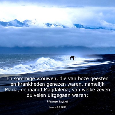 Picture 03 - Lukas 8:2 NLD - En sommige vrouwen, die van boze geesten en - Bible Verse Picture