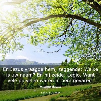 Picture 03 - Lukas 8:30 NLD - En Jezus vraagde hem, zeggende: Welke is uw naam? - Bible Verse Picture