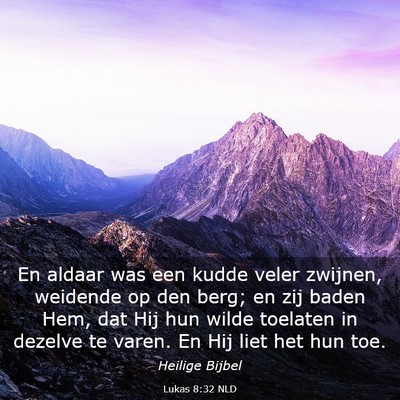 Picture 03 - Lukas 8:32 NLD - En aldaar was een kudde veler zwijnen, weidende - Bible Verse Picture