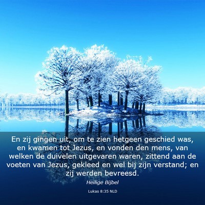 Picture 03 - Lukas 8:35 NLD - En zij gingen uit, om te zien hetgeen geschied - Bible Verse Picture