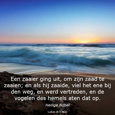Picture 03 - Lukas 8:5 NLD - Een zaaier ging uit, om zijn zaad te zaaien; en - Bible Verse Picture