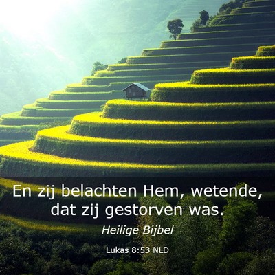 Picture 03 - Lukas 8:53 NLD - En zij belachten Hem, wetende, dat zij gestorven - Bible Verse Picture