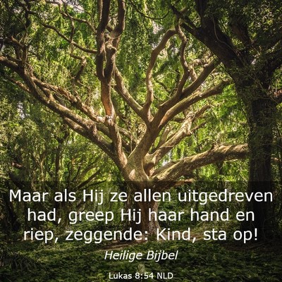 Picture 03 - Lukas 8:54 NLD - Maar als Hij ze allen uitgedreven had, greep Hij - Bible Verse Picture