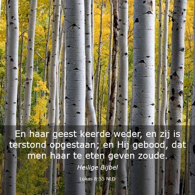 Picture 03 - Lukas 8:55 NLD - En haar geest keerde weder, en zij is terstond - Bible Verse Picture