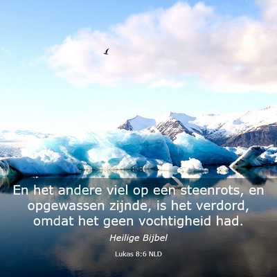 Picture 03 - Lukas 8:6 NLD - En het andere viel op een steenrots, en - Bible Verse Picture
