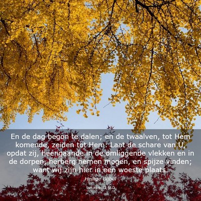 Picture 03 - Lukas 9:12 NLD - En de dag begon te dalen; en de twaalven, tot Hem - Bible Verse Picture