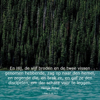 Picture 03 - Lukas 9:16 NLD - En Hij, de vijf broden en de twee vissen genomen - Bible Verse Picture