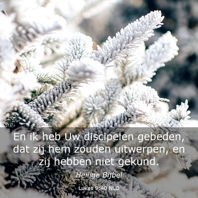 Picture 03 - Lukas 9:40 NLD - En ik heb Uw discipelen gebeden, dat zij hem - Bible Verse Picture