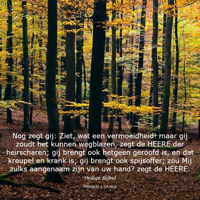 Picture 03 - Maleachi 1:13 NLD - Nog zegt gij: Ziet, wat een vermoeidheid! maar - Bible Verse Picture