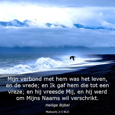 Picture 03 - Maleachi 2:5 NLD - Mijn verbond met hem was het leven, en de vrede; - Bible Verse Picture