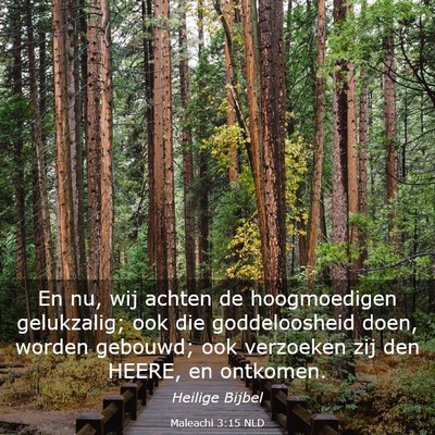 Picture 03 - Maleachi 3:15 NLD - En nu, wij achten de hoogmoedigen gelukzalig; ook - Bible Verse Picture