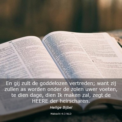 Picture 03 - Maleachi 4:3 NLD - En gij zult de goddelozen vertreden; want zij - Bible Verse Picture