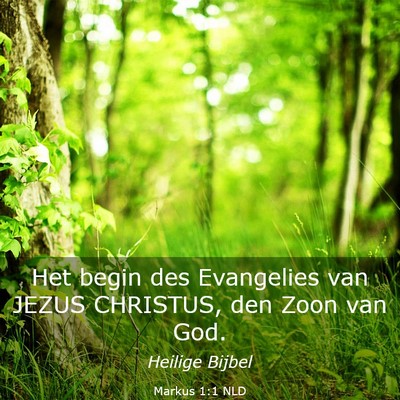 Picture 03 - Markus 1:1 NLD - Het begin des Evangelies van JEZUS CHRISTUS, den - Bible Verse Picture