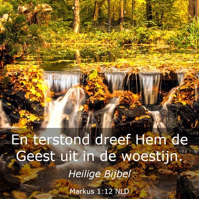Picture 03 - Markus 1:12 NLD - En terstond dreef Hem de Geest uit in de - Bible Verse Picture