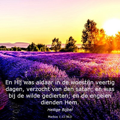 Picture 03 - Markus 1:13 NLD - En Hij was aldaar in de woestijn veertig dagen, - Bible Verse Picture