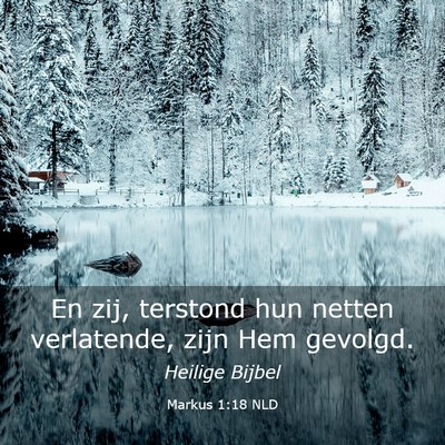 Picture 03 - Markus 1:18 NLD - En zij, terstond hun netten verlatende, zijn Hem - Bible Verse Picture