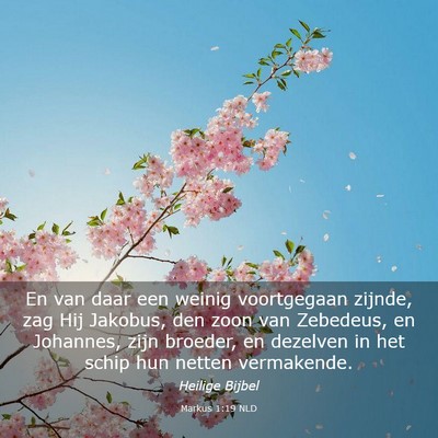 Picture 03 - Markus 1:19 NLD - En van daar een weinig voortgegaan zijnde, zag - Bible Verse Picture