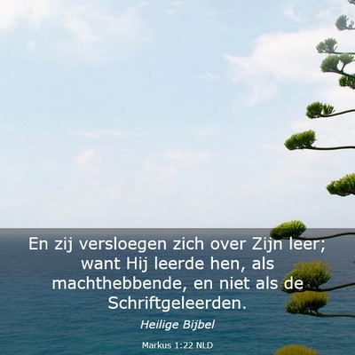 Picture 03 - Markus 1:22 NLD - En zij versloegen zich over Zijn leer; want Hij - Bible Verse Picture