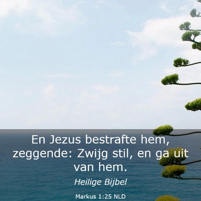 Picture 03 - Markus 1:25 NLD - En Jezus bestrafte hem, zeggende: Zwijg stil, en - Bible Verse Picture