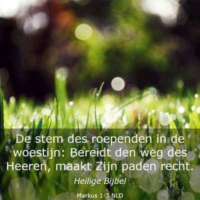 Picture 03 - Markus 1:3 NLD - De stem des roependen in de woestijn: Bereidt den - Bible Verse Picture