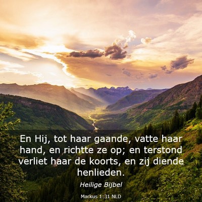 Picture 03 - Markus 1:31 NLD - En Hij, tot haar gaande, vatte haar hand, en - Bible Verse Picture