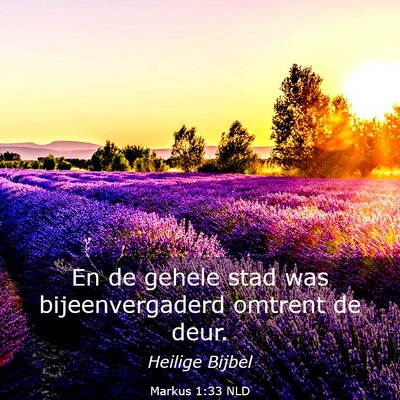 Picture 03 - Markus 1:33 NLD - En de gehele stad was bijeenvergaderd omtrent de - Bible Verse Picture