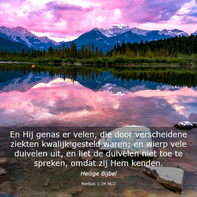 Picture 03 - Markus 1:34 NLD - En Hij genas er velen, die door verscheidene - Bible Verse Picture