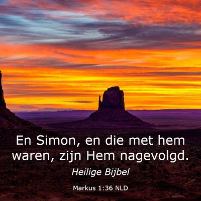Picture 03 - Markus 1:36 NLD - En Simon, en die met hem waren, zijn Hem - Bible Verse Picture