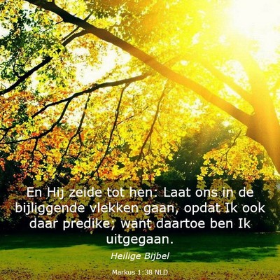 Picture 03 - Markus 1:38 NLD - En Hij zeide tot hen: Laat ons in de bijliggende - Bible Verse Picture