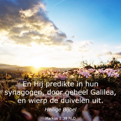Picture 03 - Markus 1:39 NLD - En Hij predikte in hun synagogen, door geheel - Bible Verse Picture