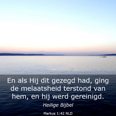 Picture 03 - Markus 1:42 NLD - En als Hij dit gezegd had, ging de melaatsheid - Bible Verse Picture