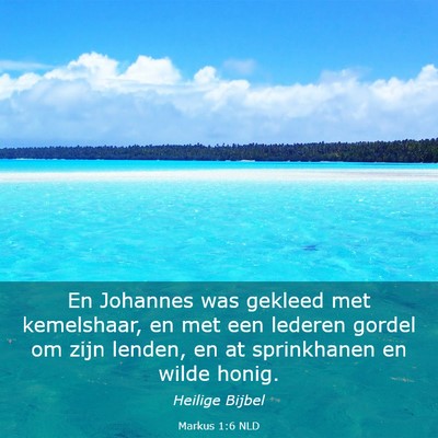 Picture 03 - Markus 1:6 NLD - En Johannes was gekleed met kemelshaar, en met - Bible Verse Picture
